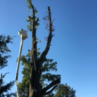 Crissman Tree Service