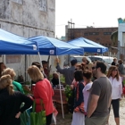 Galveston's Own Farmers Market