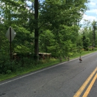 Cornell Lab of Ornithology