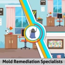 Mold Remediation Specialists - Mold Remediation