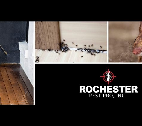 Rochester Pest Pro, Inc. - Rochester, NY