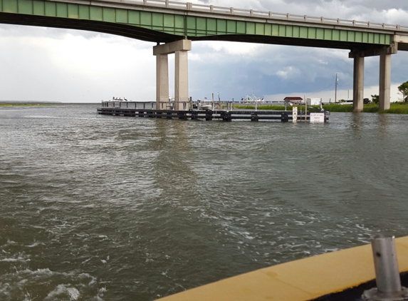 Captain Mike's Dolphin Adventure - Tybee Island, GA