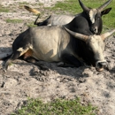 Bell Family Farm and Apiary - Tourist Information & Attractions