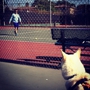 I Tennis