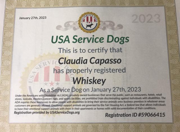 Papa's Dog Sitting Services - Boynton Beach, FL. USA Service Dog Whiskey 