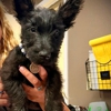 Broadmoor East Veterinary Clinic gallery