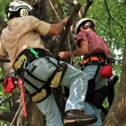 Woodlawn Tree Service