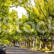Gallery Image Number 3