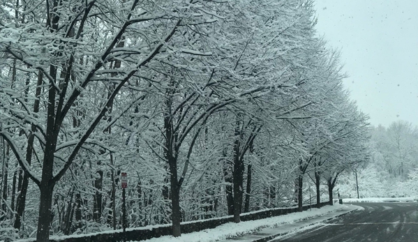 Mountain View Crossing - Wayne, NJ