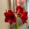 Cary Pediatric Dentistry gallery