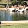 Photo #11