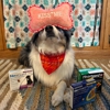 Waconia Veterinary Clinic gallery