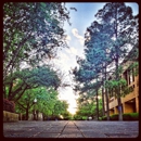 University of Texas College of Nursing - Nursing Schools