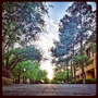 University Of Texas-Arlington