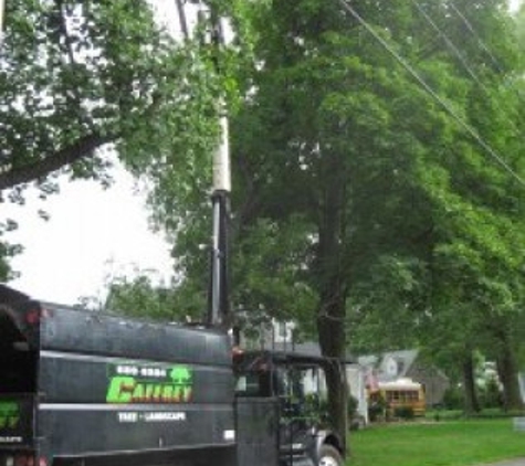 Caffrey Tree & Landscape - Scotch Plains, NJ