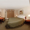 Quality Suites Sherman - Lodging