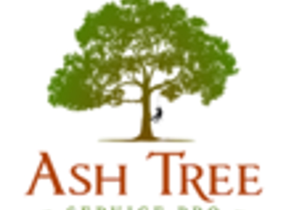 Ash Tree Service Pro