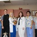 Valley Animal Hospital - Veterinarian Emergency Services
