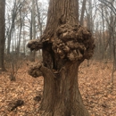 Madison Heights Nature Center - City Halls