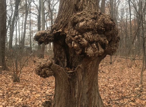 Madison Heights Nature Center - Madison Heights, MI