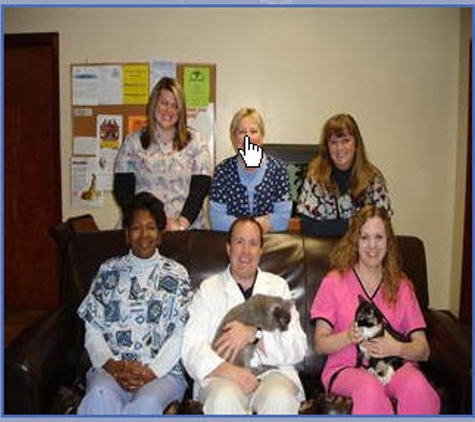 South Haven Animal Hospital - South haven, MI