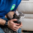 My Pets Safety - Pet Services