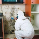 BELFOR Property Restoration - Water Damage Restoration