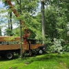 A Plus Tree Care gallery