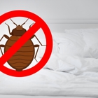 Houston Bed Bug Heat Treatment