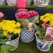 Gallery Image Number 2