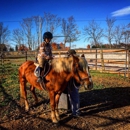 Horse Haven Farm, LLC - Horse Stables
