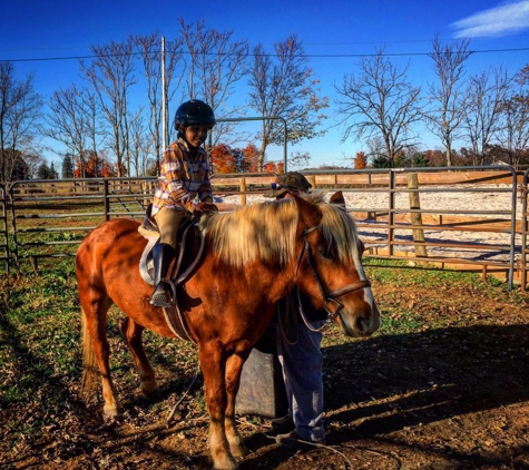 Horse Haven Farm, LLC - Berryville, VA