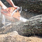 Tnt Tree Service & Stump Grinding