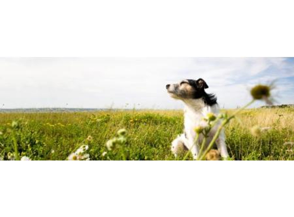 Stawell Veterinary Clinic - Stawell, VIC