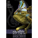 SoundBite Studios - Recording Service-Sound & Video