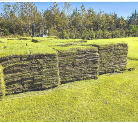 Horne Turf Farm - Stedman, NC