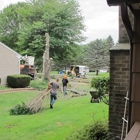 Woodeez Tree Service