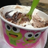 sweetFrog gallery