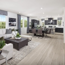 Beazer Homes Zinnia at The Preserve - Real Estate Developers