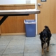 Millville Veterinary Clinic