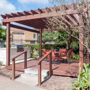 Wood Trail Apartments - Apartment Finder & Rental Service