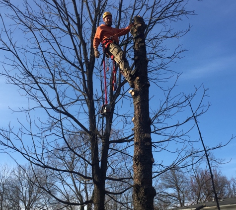 Greatful Growers Landscaping Services - Cincinnati, OH