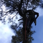 Garrison Tree Services