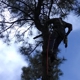 Garrison Tree Services