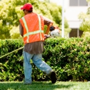Chop Chop Landscaping in Tucson - Tree Service