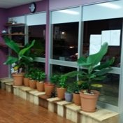 Gallery Image Number 5