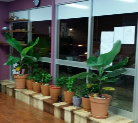 Khao San Queanbeyan Thai Massage - Queanbeyan, NSW. Front Reception Area Including our Banana Plants