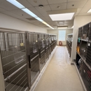 VCA Arroyo Animal Hospital - Veterinarians