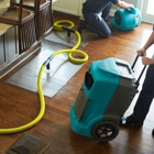 Tanin Carpet Cleaning Water