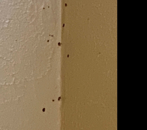 Bed Bug Heaters Dallas - Dallas, TX